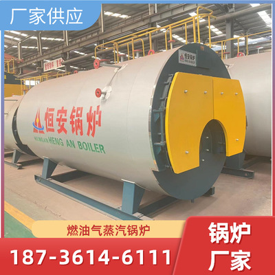 factory supply Fuel steam boiler Stainless steel Fully automatic 24 Natural gas diesel oil steam boiler