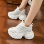 厚底新款春夏网面女鞋