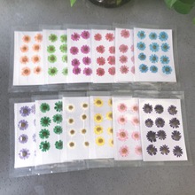 �羳12�侧�ոɻ�������ֲ��˱�DIY�ֹ�������޹Ϟ�T���z�֙C��