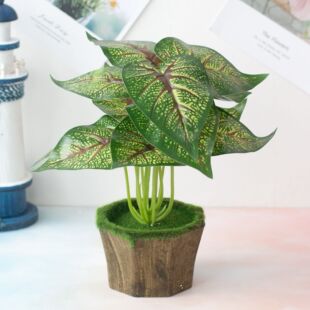 �S��ֱ�N�߷���12�^���~ ���~ �����͏d�[�� ������~ �b�