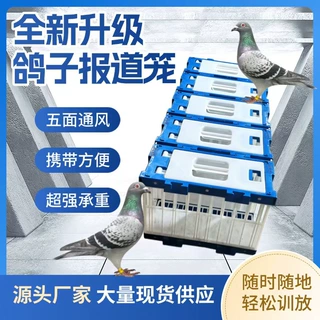 鸽子报道笼赛鸽放训笼信鸽探视笼全新原料加厚鸽子拼接探视报道笼