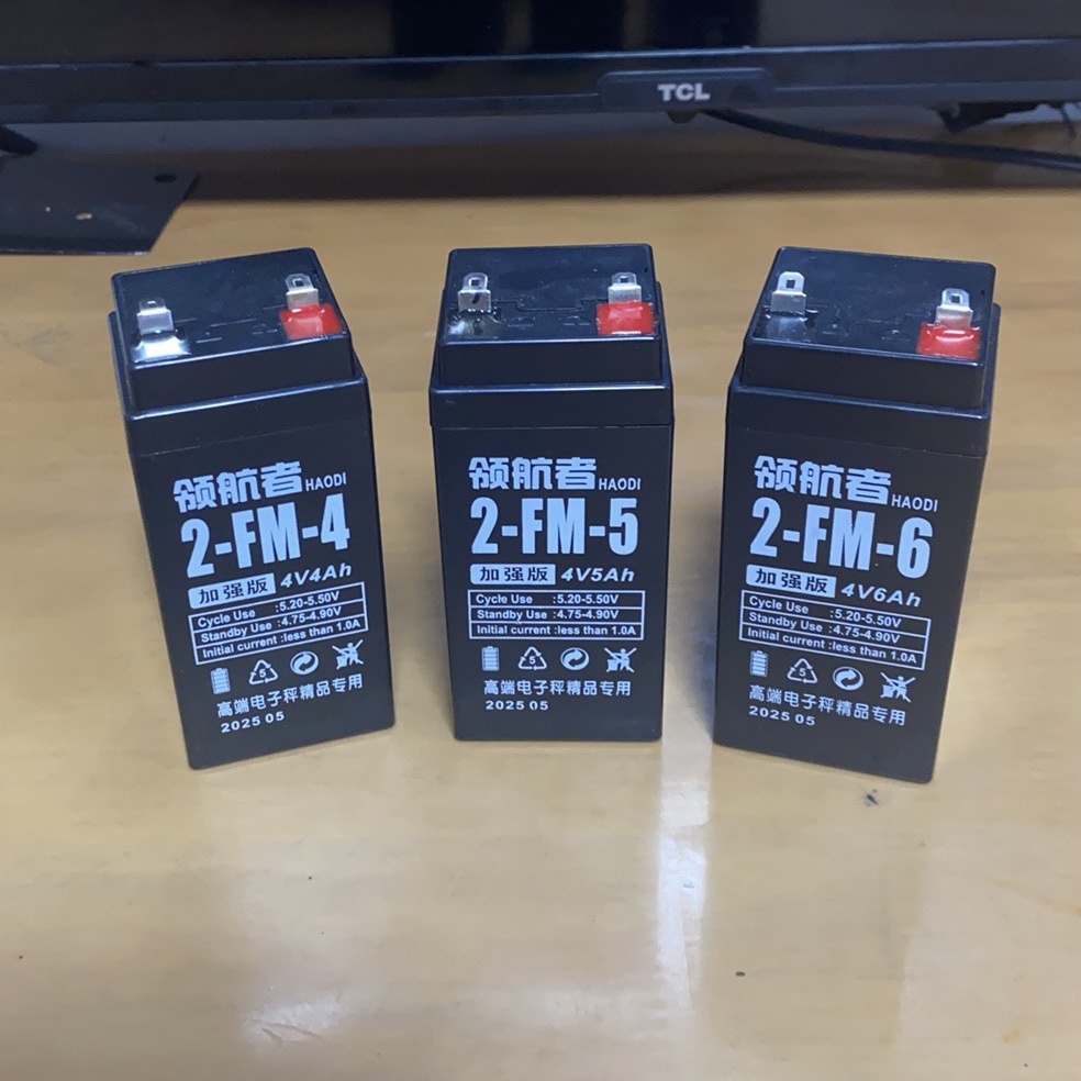 领航者电子秤电池通用电子称蓄电池商用台秤童车电瓶厂家直发包邮