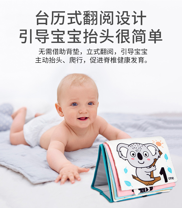 详情 (6)