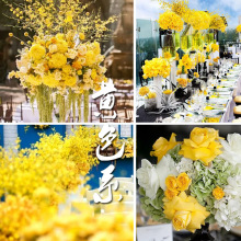 Sɫϵ 滨 ٻ  ͏dgb[cb