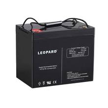 LEOPARD蓄电池 HTS12-65 美洲豹免维护12V65AH电池 直流屏 ups用