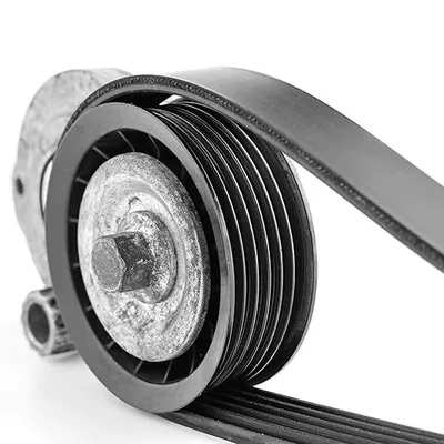 Volkswagen Golf V, Belt