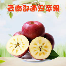 云南昭通丑苹果代发3/10斤大果新鲜水果现摘甜脆多汁冰糖心红平果
