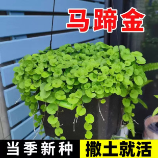 �R���N�Ӳ��Ѳ�ƺ�N��С���X���~�X�ݷN���׷N�����͸ߜؾG��