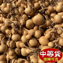 С���Jһ��؛Դ�����^��Ȼ����С����������ؔ����湩��