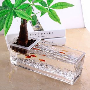 Office Landscaping Small Fish Tank Betta Fish Tank Glass Rectangular S Tank Desktop Small Mini Desk Bookshelf to Philosophy