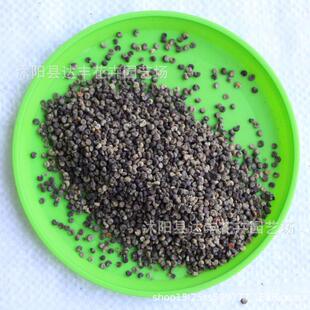 �\���N�����l�G���X��С�X�����X�ϻ�������⻨��⻨��P���N��