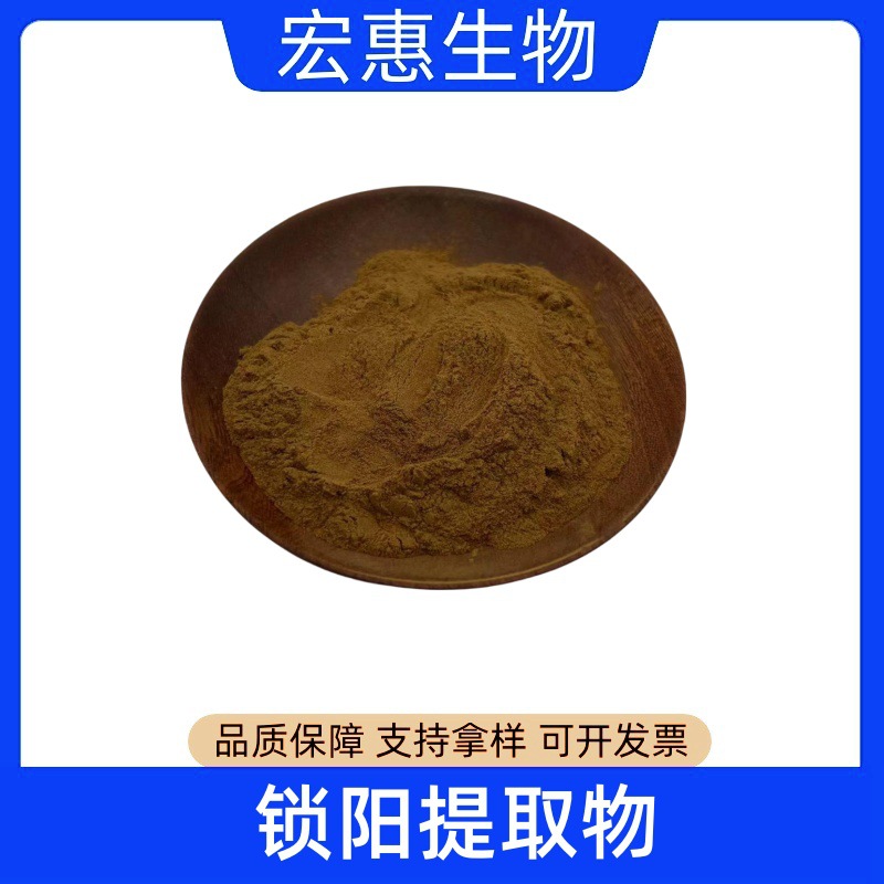 锁阳粉 锁阳提取物  水溶粉 高比例萃取  现货供应 量大从优