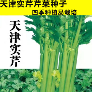 �ļ����۷N���۲��Ѳ������۷N���۲˷N���̨����ͥԺ��