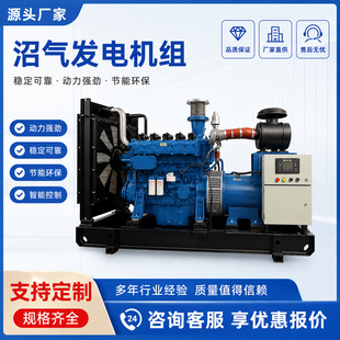 ��� 350kW ��Ȼ��l늙C�M �ܵ�ȼ��l늙C ���S����l