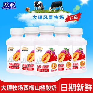 �W�����������͜���÷ɽ�ζ����250g*12ƿ����Ʒ