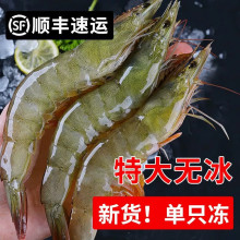 ʮ��� ���K�B노۴��r�r�������r�ش����r����r���r�ك���