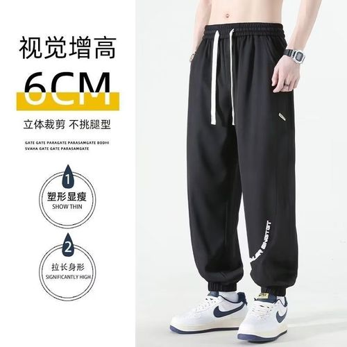 Men's Summer Thin Quick-Dry Sports Pants Loose Wide-Hip Trendy Brand Versatile Harlon Ice Silk Casual Pants