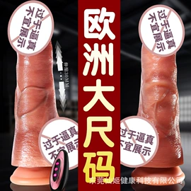 仿真阳具;其他情趣用品;震动棒