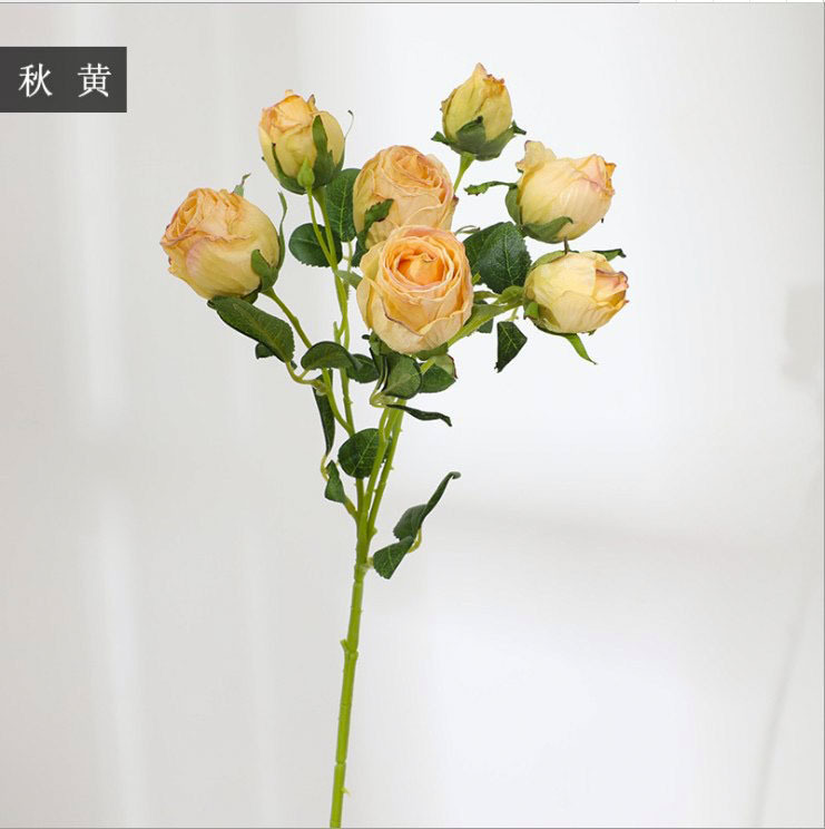 가을 노란색