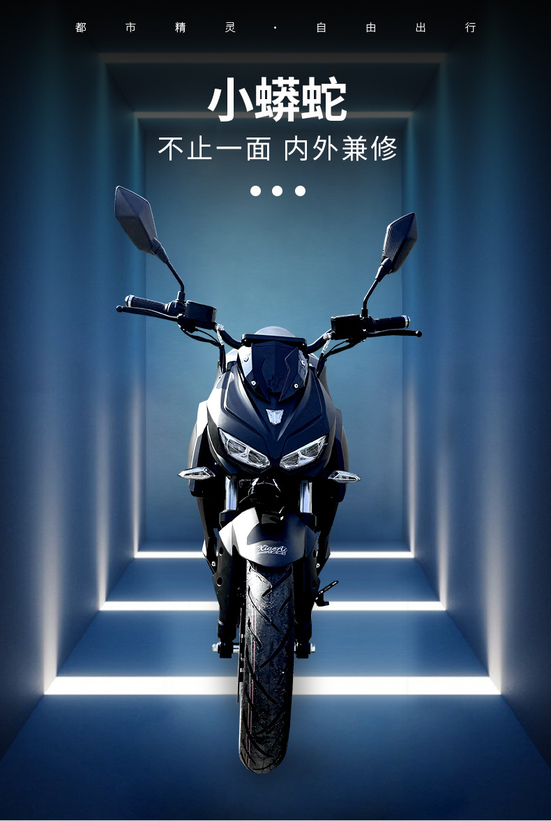 Export Foreign Trade Electric Motorcycle Little Python Men's Two-Seater Cross-Border Foreign Trade Foreign Electric Bicycle Motorcycle