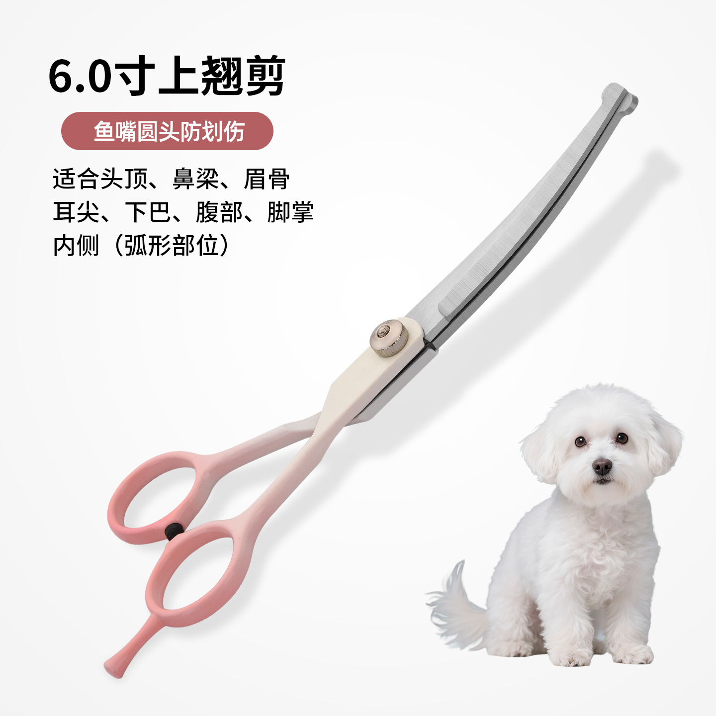 Kit de tijeras profesionales para peluquería canina, incluye tijeras curvas