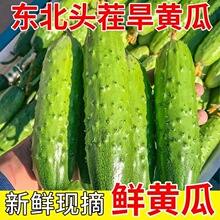 ����ͷ�綫�����ƹϴ̻ƹ�С������ɿ�ũ��ζ����ժ�ַ�