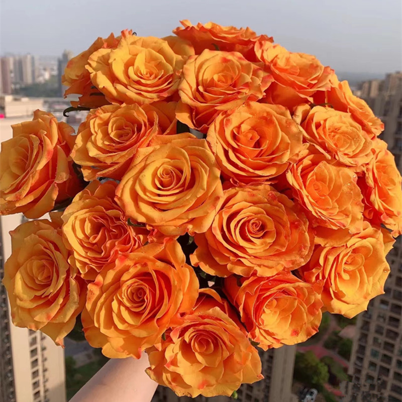 12da5db2ade851044e6e02817b0f09