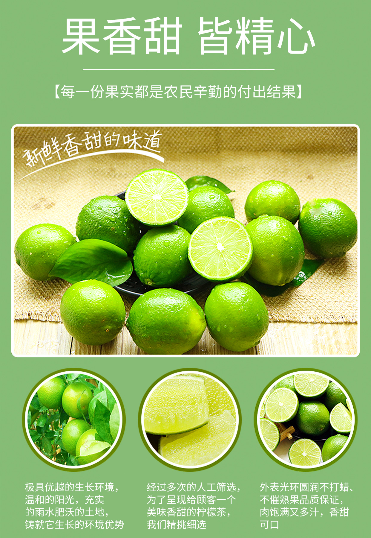 Ejiao Bazhen Paste (阿胶八珍膏) — Traditional Herbal Paste with Ejiao, Ginseng & Cinnamon in use