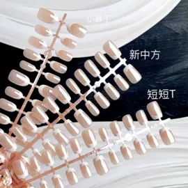 甲片/穿戴甲;美甲贴
