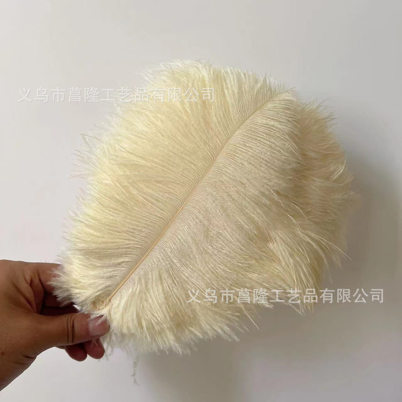 e84e6c5b89db52b5e9061d2d0955af