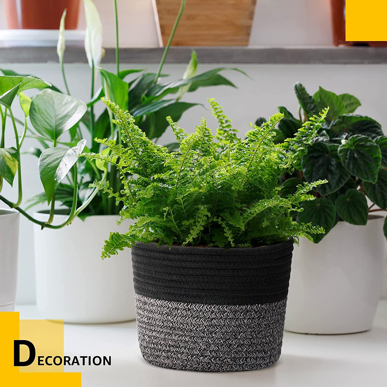 81Ro9ExCHRL._AC_SL1500_