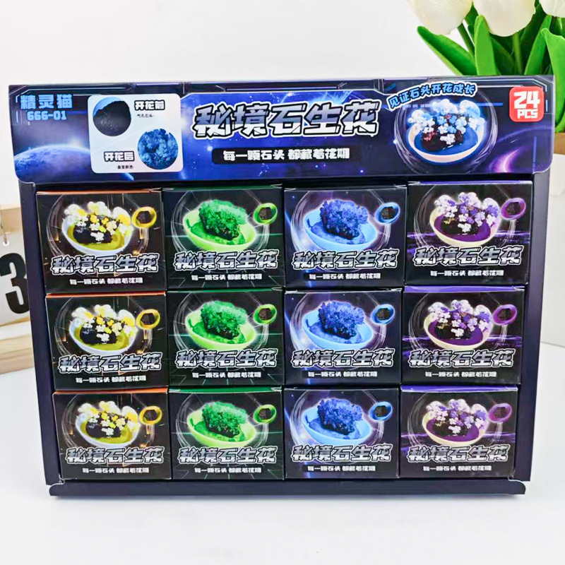 A24 Stone Flowering Kit Children's Toy Science Fun Educational Experiment Set Colorful DIY Handmade Growth Kit