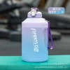 Gradient Purple 2.3L