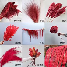 红色永生花干花喜庆婚礼吊米蓬莱松绣球永生花粉黛红雪莲拍摄摆饰
