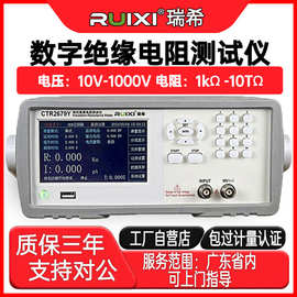 瑞希数字绝缘电阻测试仪电器设备高精度台式测量仪电子式