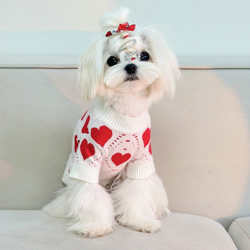 Dog Sweater Image 3