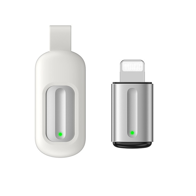 (Strict Selection) Five Generations of L Apple 6-14 Mobile Phone Interface Lucky Silver