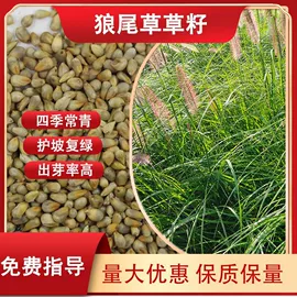 一二年生花卉;林业副产品;草坪