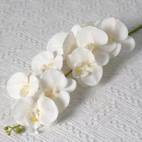 rice white