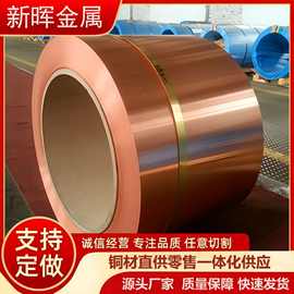 国标T2紫铜带加工 电镀铜带 医疗器械用 0.1*200 规格全交期短