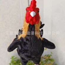 ���u������ƷӖ��ģ���u�����z�u�¿�������ڌ��I