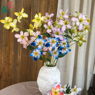3�^��6�^�Sβ С�ٺ� ��̨�������b��� �Ƶ�·���[���廨�ٻ�