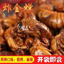 山东产炸金蝉新鲜蝉蛹即食油炸知了猴100只香辣知了现炸下酒菜
