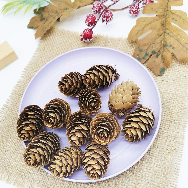 Лиственница сосна сушеный цветок сосновая башня окрашена белым мини сосновым фруктом окрашенный белый сосновый цветок DIY декоративные аксессуары оптом