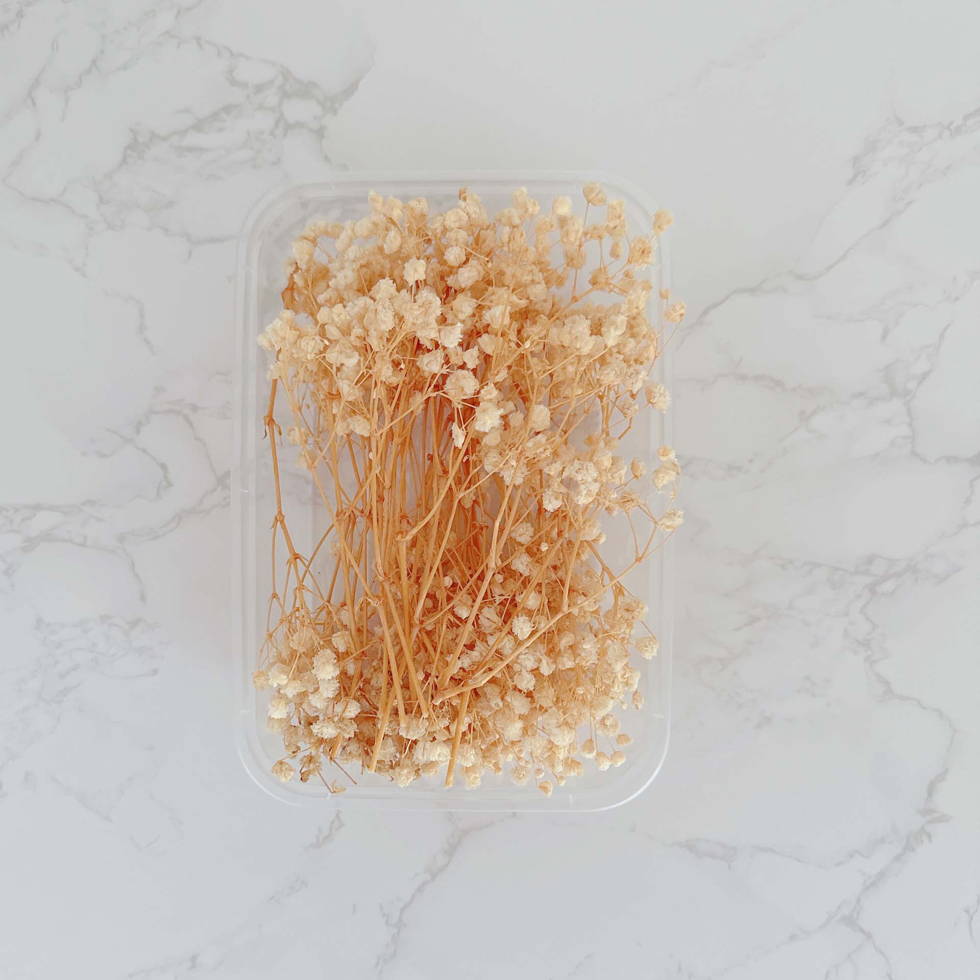 Cielo estrellado blanco