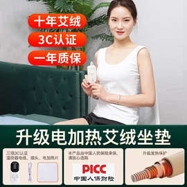 办公室电热毯艾绒艾久坐冬垫家用艾灸熏蒸仪草垫子电加热屁垫坐垫