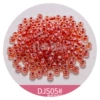 DS05
