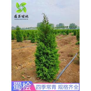 ��K���ɘ���u��Ĺ�����ļ�����G�������ؘ���������������С��