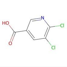 5,6-二氯烟酸 纯度: 98% CAS: 41667-95-2免费开票