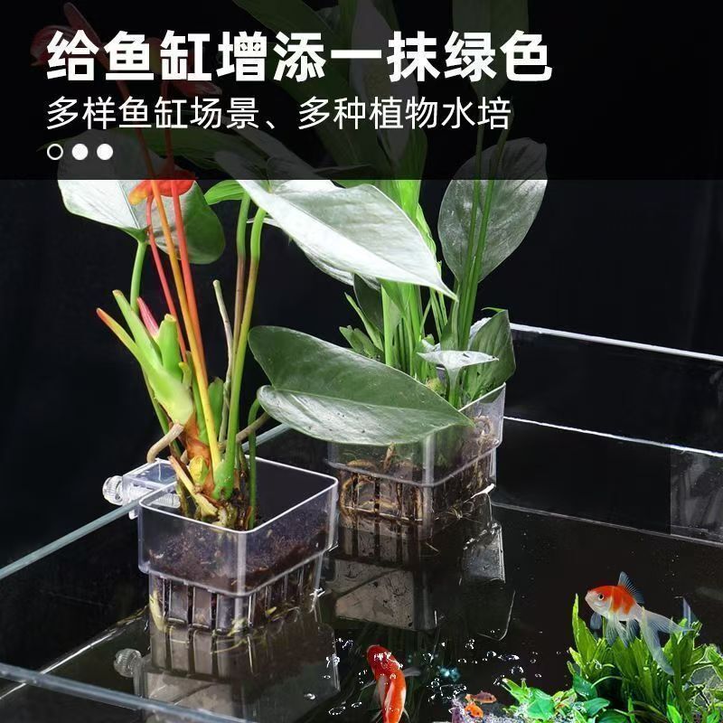 鱼缸水培植物篮家用水草种植杯壁挂式挺水植物定植篮造景鱼缸挂篮|undefined